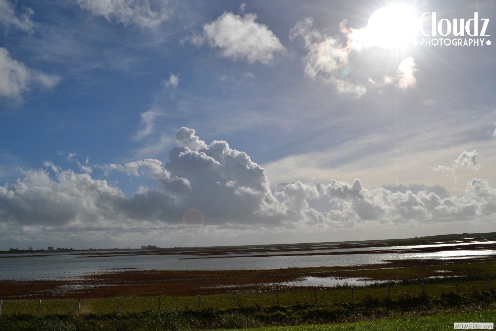 2014-10-16 13.25.31 Delingsdijk PlanTureluur